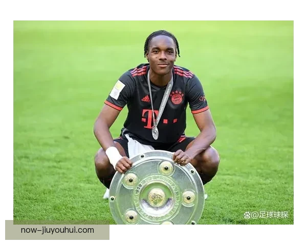 拜仁慕尼黑夏季转会计划瞄准热刺经验丰富防线领袖